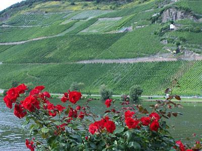 Anneliese Schmitgen Bed and Breakfast Bernkastel-Kues Eksteriør billede